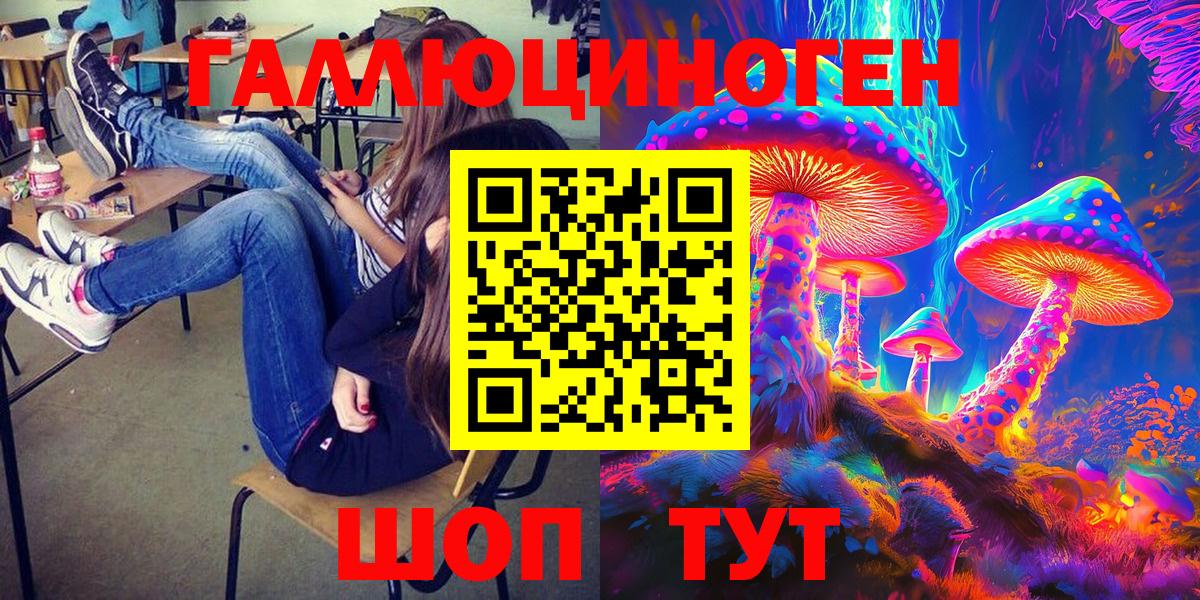 Псилоцибиновые грибы GOLDEN TEACHER  Галлюциногенные грибы Cubensis  Карасук  Вход с VPN 