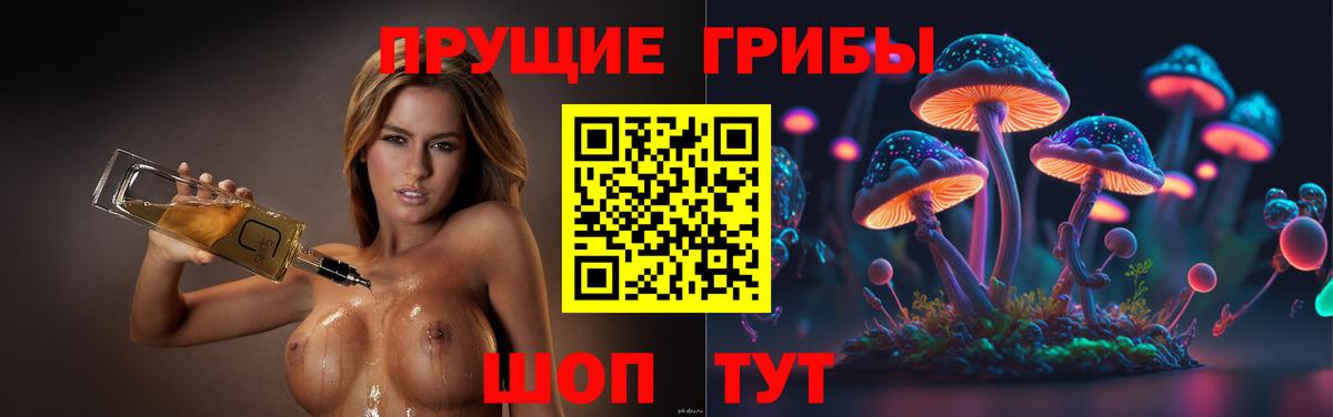 Галлюциногенные грибы Psilocybe Карасук